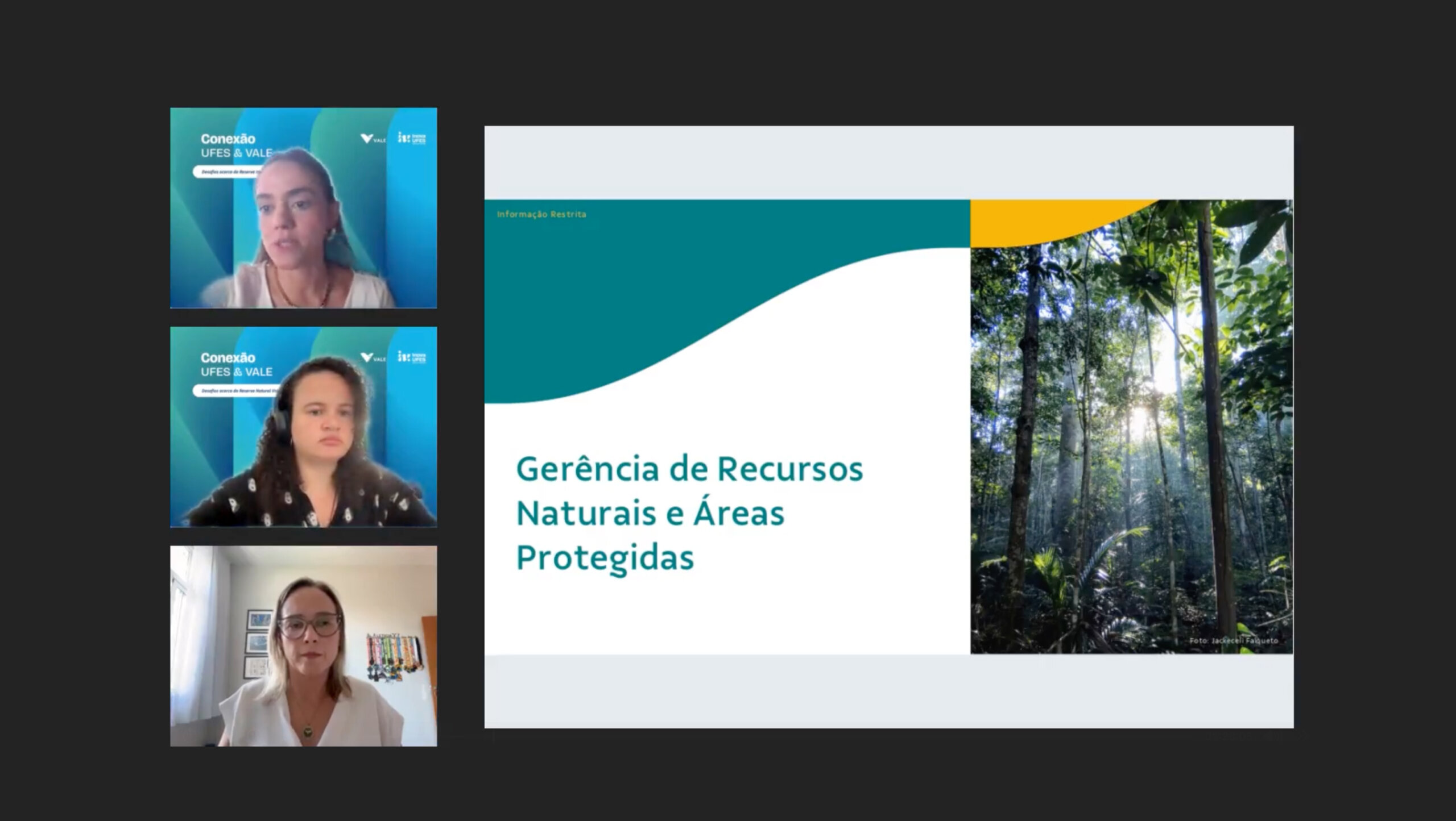 Conexão Ufes & Vale aproxima pesquisadores e estimula projetos voltados à sustentabilidade e inovação