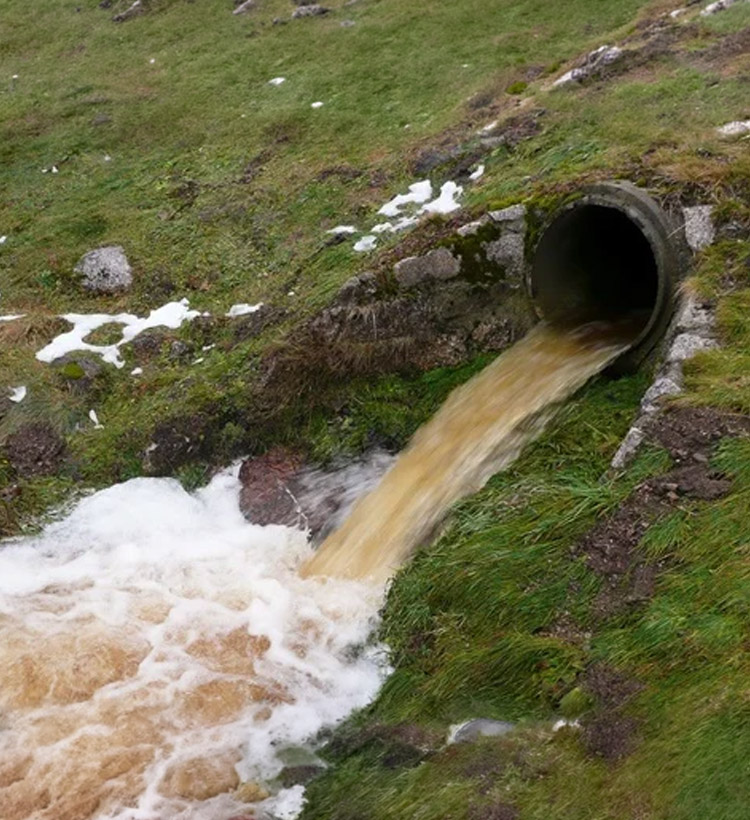 Filtro ecológico portátil: tratamento de efluentes sanitários com biocarvão em zonas rurais