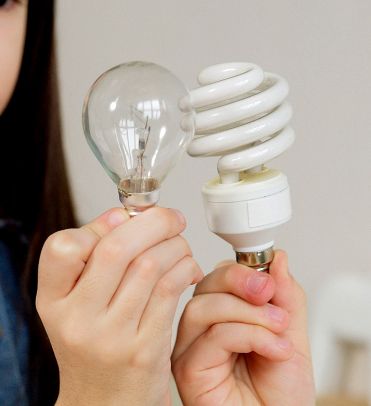 A Lâmpada: o ecossistema por trás da luz
